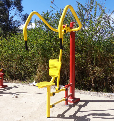 WPS MX. Press de Pecho.jpg