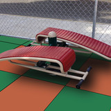 WPS Stomach Muscle...