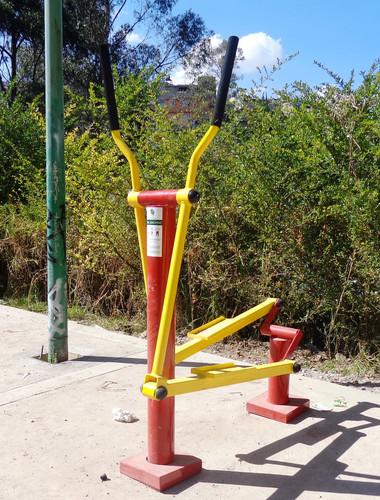 WPS MX. Eliptica.jpg