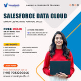 FREE Salesforce Data Cloud Training Demo – Register Now!