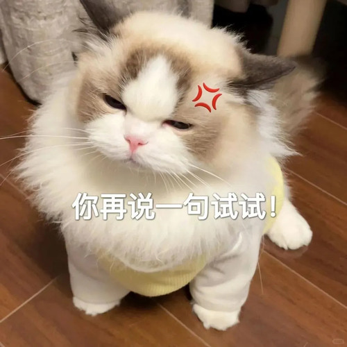 ������������ʵ�� �ɰ�èè 13 ���µ����� ����С������ҳ��.jpg