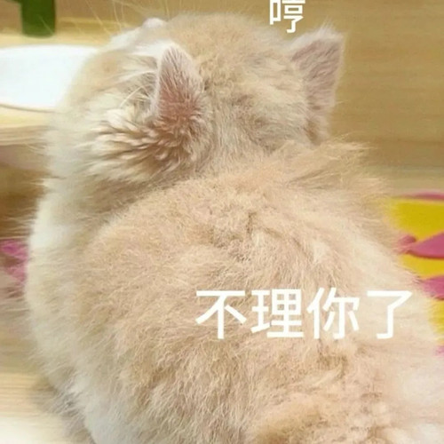 ������������ʵ�� �ɰ�èè 7 ���µ����� ����С������ҳ��.jpg