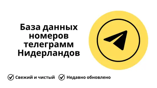 База данных номеров телеграмм Нидерландов 1024x576.webp