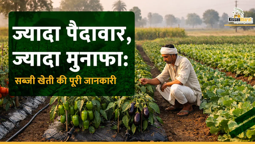 1776253587 15 april .png