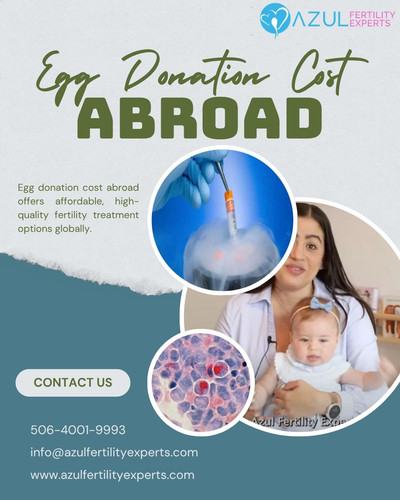 Egg Donation Cost Abroad Explained Best Countries and Price Comparison.jpg