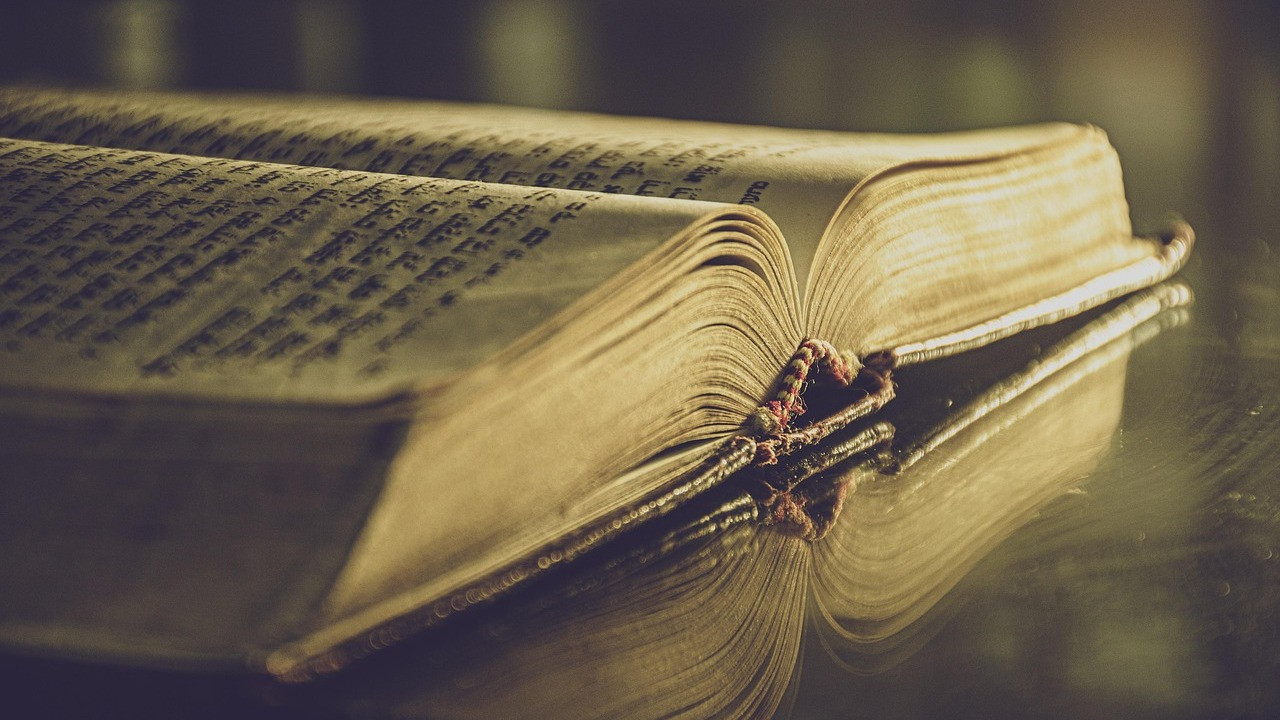 Kisah Sukses: Studi Kasus Nyata di Tahun 2024-2025