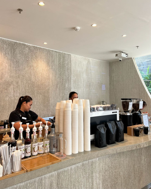 grounded el nido.jpg