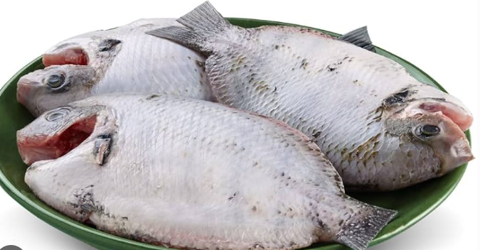 Karimeen (കരിമീൻ)Big Size,(2-3Pc) Whole Cleaned (without head)500g, Gross Weight Before Cutting And Cleaning