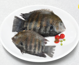 Karimeen (കരിമീൻ)Big Size,(2-3Pc) Whole Cleaned (with head)500g, Gross Weight Before Cutting And Cleaning 