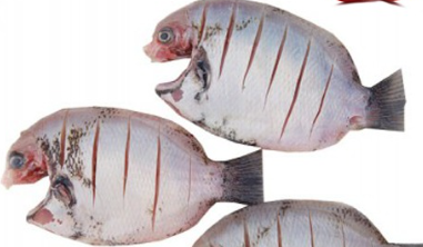 Karimeen (കരിമീൻ) Big Size,(2-3Pc) Whole Cleaned (Fry Cut)500g, Gross Weight Before Cutting And Cleaning