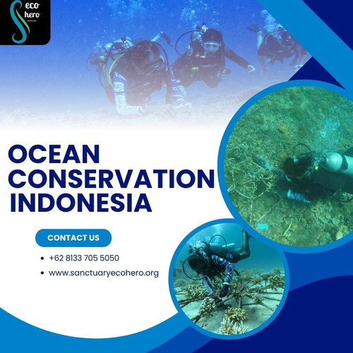 Ocean Conservation Indonesia.jpg