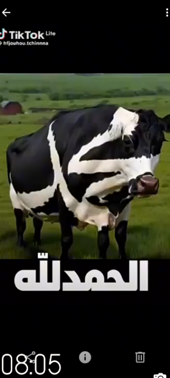 temp.png