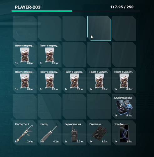 FiveM GTAProcess 4z63SUDpNb.png