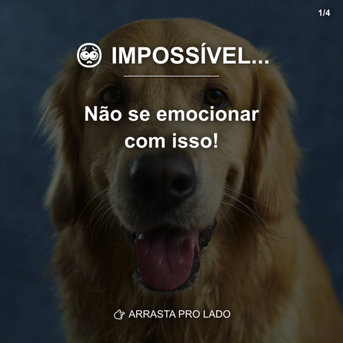 carousel 1774803607890 slide1.png
