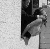 IMG 7288.gif