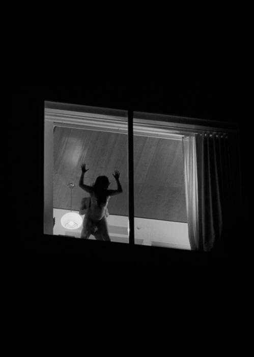 IMG 7283.gif