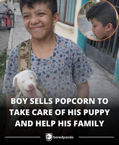 BOY SELLS POPCORN TO TAKE CARE OF HIS PUPPY AND HELP HIS FAMILY.jpg