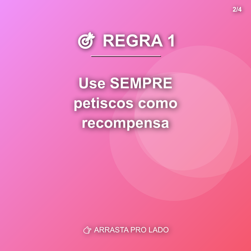 carousel 1774807207280 slide2.png
