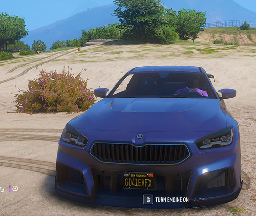 FiveM GTAProcess etL8PPQFIv.png