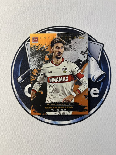 ECFC7B44 C58C 4305 BD4F BA3E6017A1A0 1 105 c.jpg