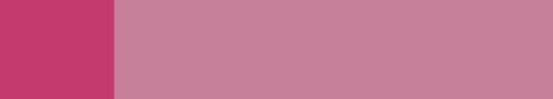 Fuchsia Rose.png