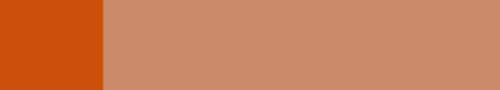 Burnt Orange.png