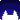 貓放煙火.gif