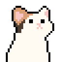 pop貓.gif
