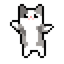 happyhappy跳跳貓.gif