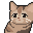 委屈狸花(咣当)唯唯諾諾.gif