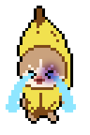 香蕉貓鼻青臉腫大哭.gif