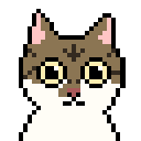 震驚貓.gif