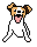 傑克羅素㹴大笑.gif