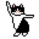 奶牛貓跳舞.gif