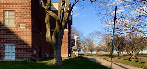IMG 3120.jpg