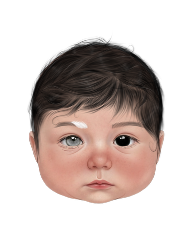 inbound9196359573313998426.png