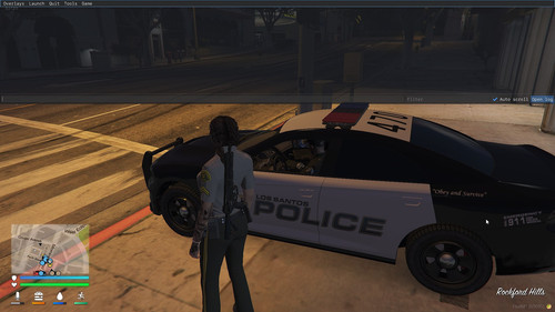 FiveM GTAProcess skYQcctspj.jpg