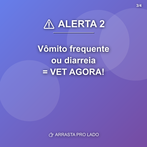 carousel 1774814407579 slide3.png