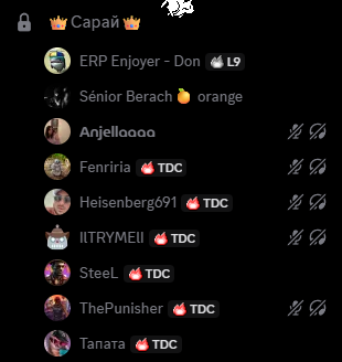 Discord W33RfVpOO5.png