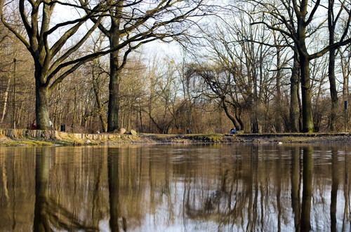 IMGP5297.jpg