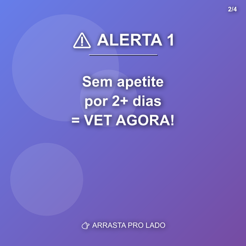 carousel 1774814407447 slide2.png