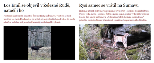 Bez názvu.png