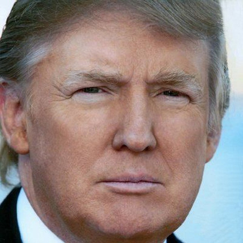 TrumpDailyPost.jpg