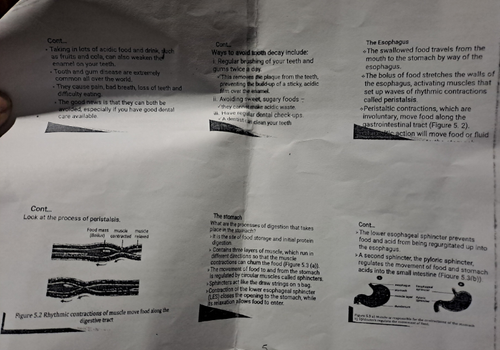 temp.png