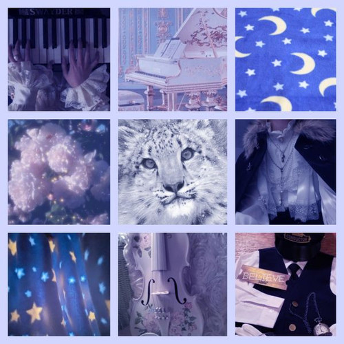 starry snow leopard moodboard.jpg