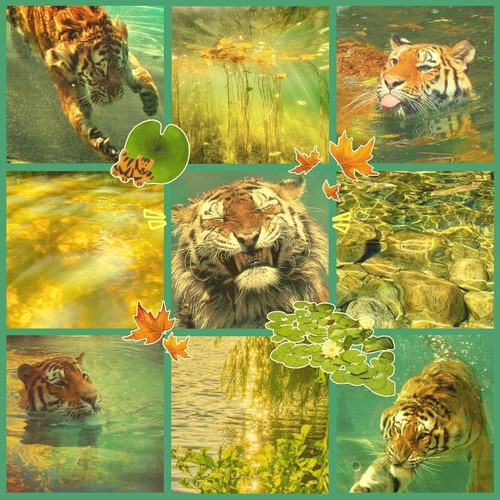 F2U tigerlily moodboard.jpg