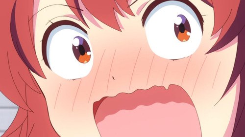 VS Anime1me 8’49”.jpg