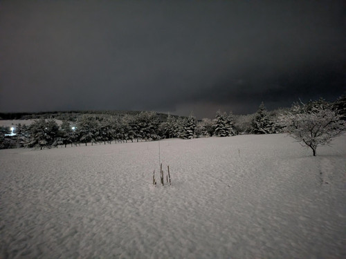 1000105543.jpg