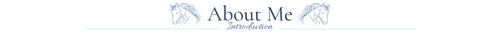 About Me Introduction.png