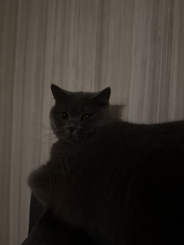 image.jpg